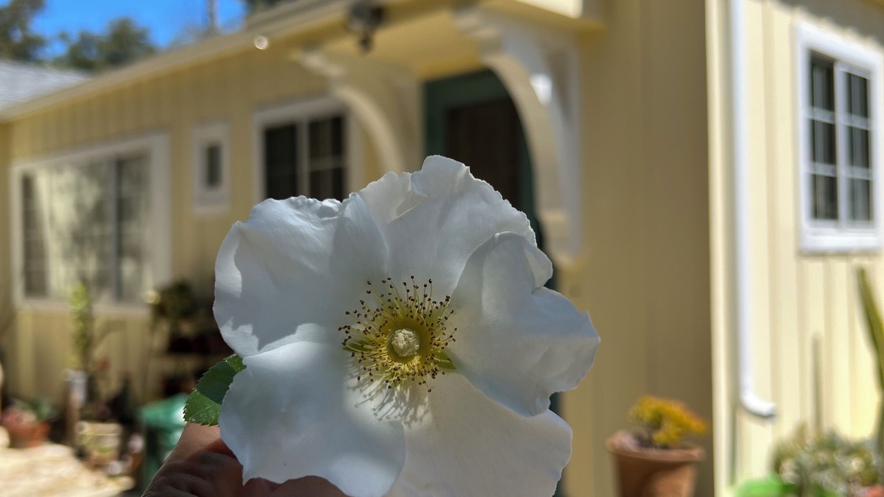 Photo of Outdoor in Ojai