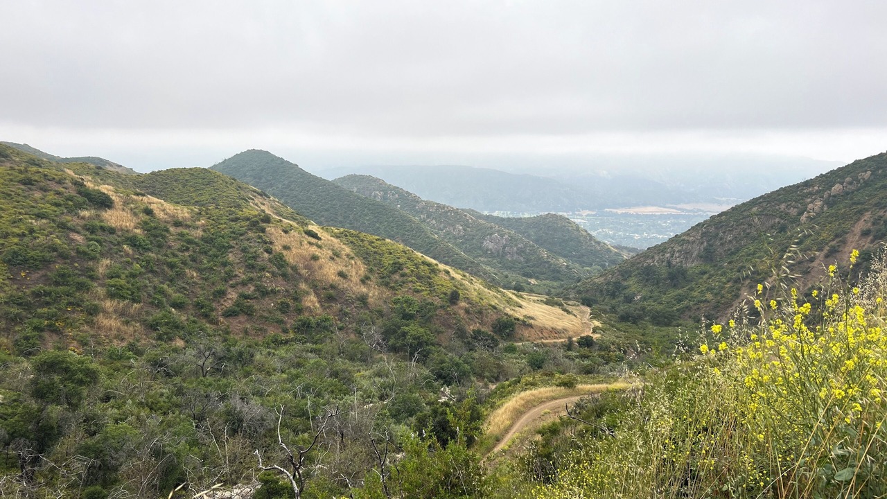 Photo of Others in Ojai