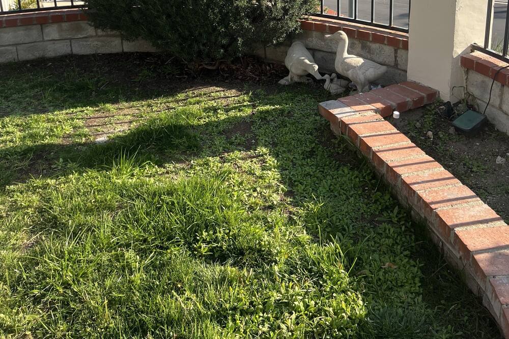 Photo of Outdoor in Sylmar