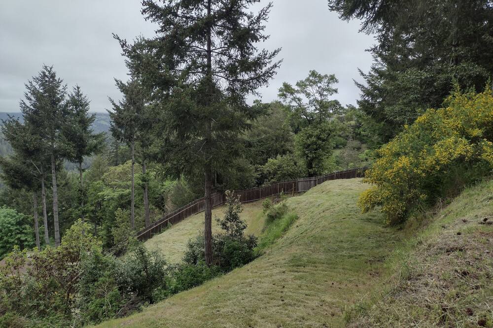 Photo of Outdoor in Benbow