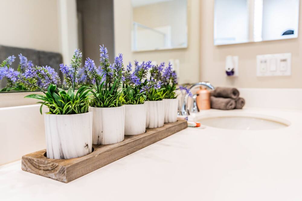 Photo of Bathroom in Portola Springs