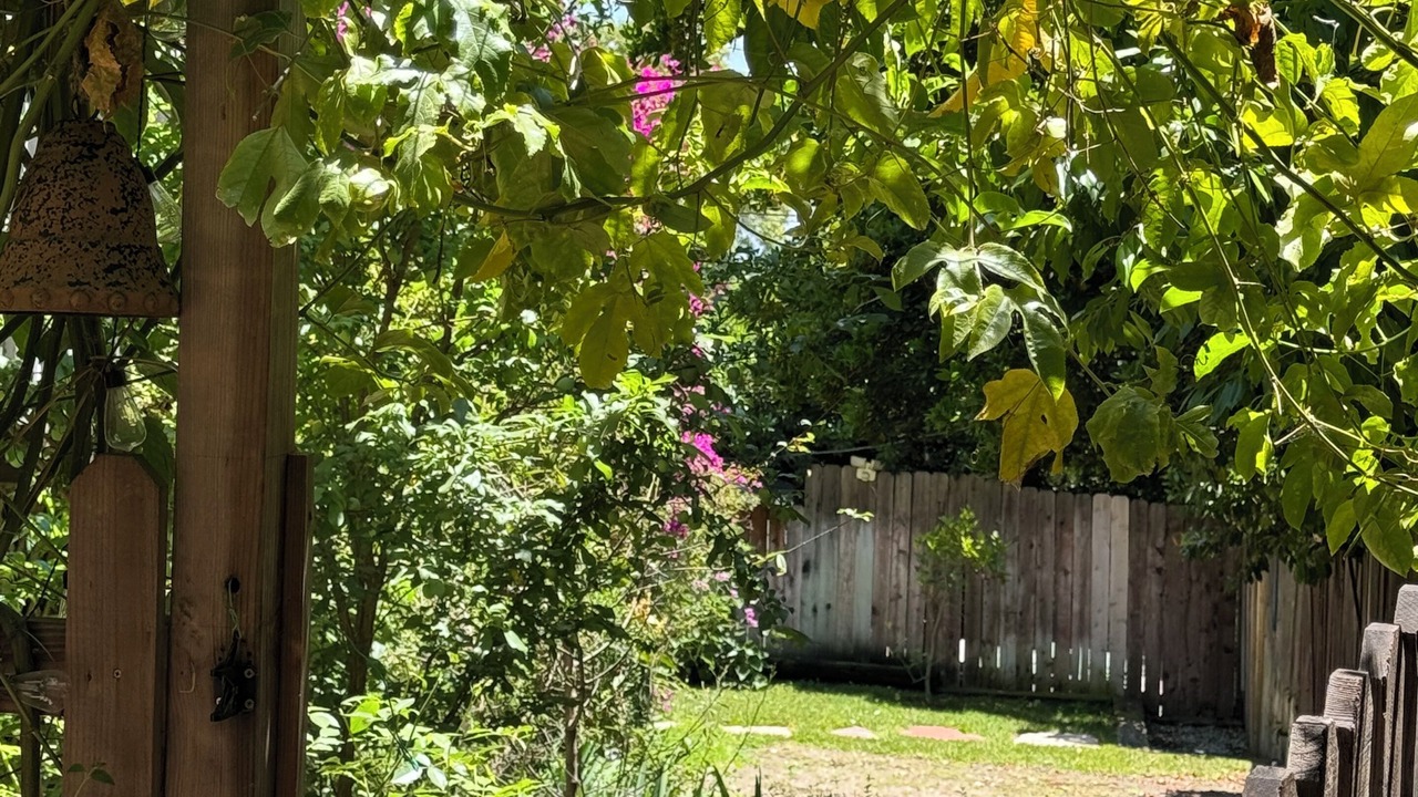 Photo of Outdoor in Altadena