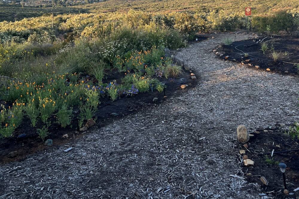 Photo of Outdoor in San Diego Country Estates