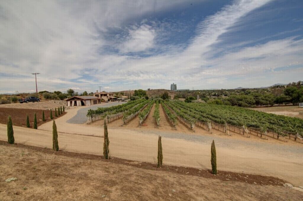 Photo of Outdoor in West Ridge