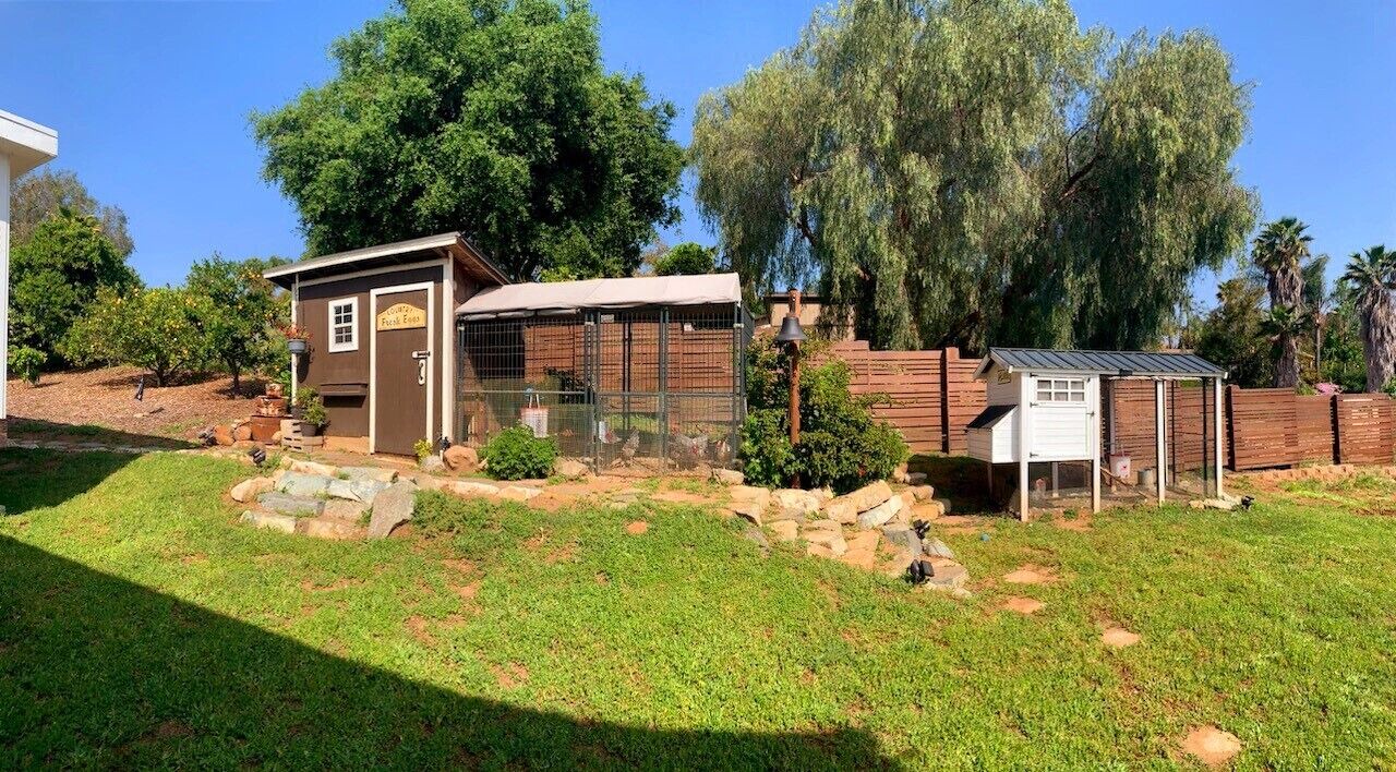 Photo of Outdoor in East Canyon