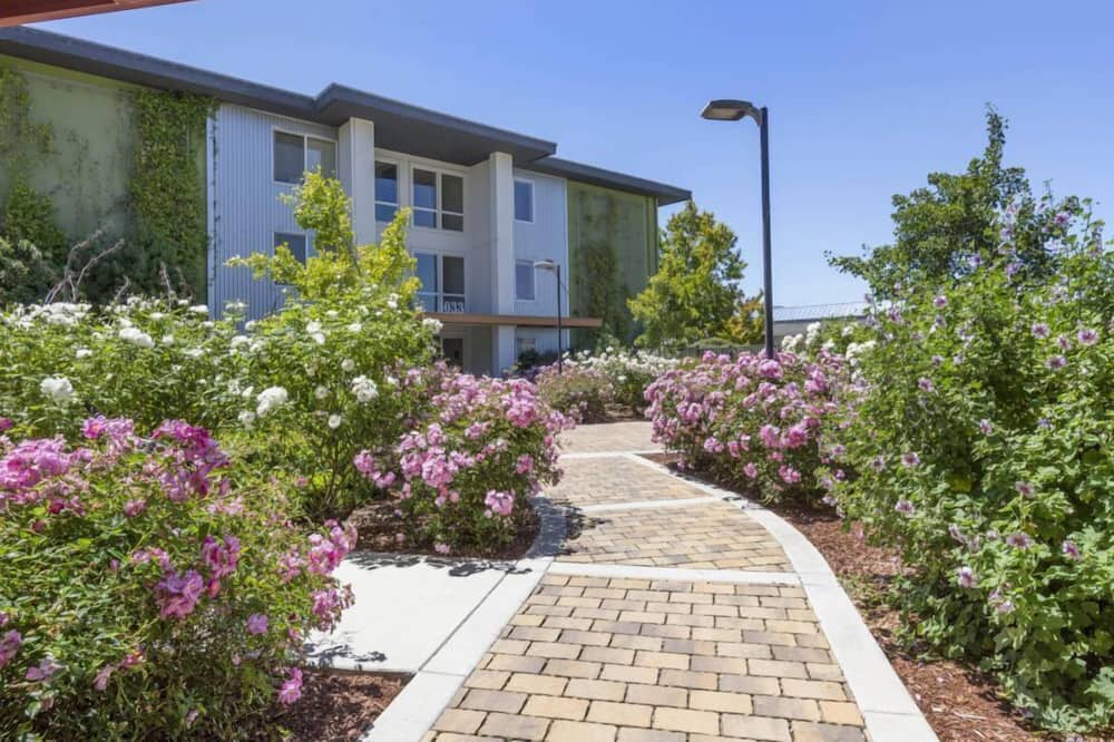 Photo of Outdoor in East San Mateo