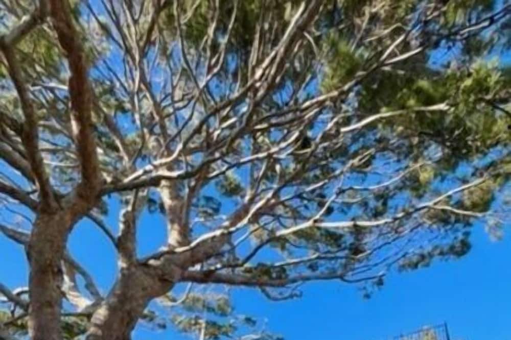 Photo of Others in Eastern Malibu