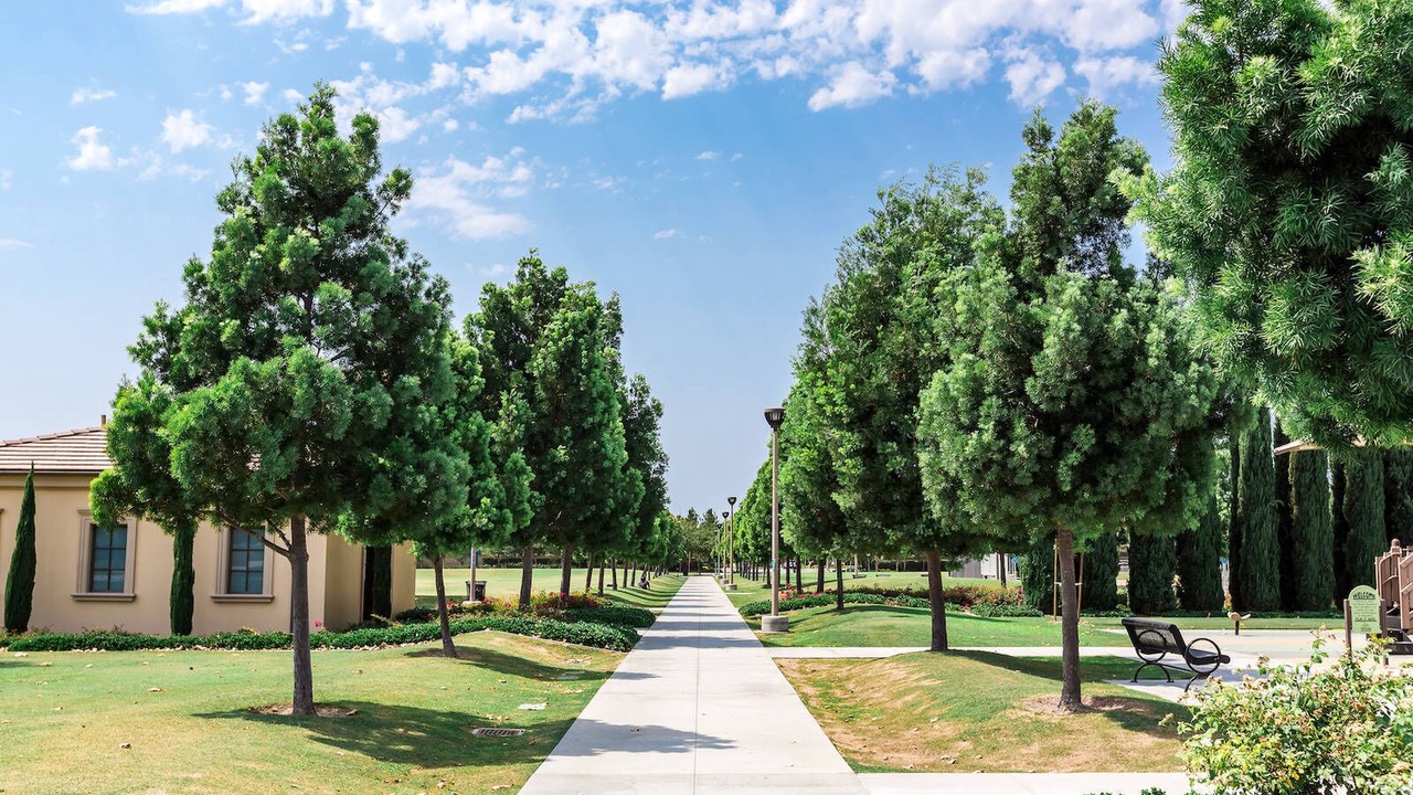 Photo of Outdoor in Cypress Village