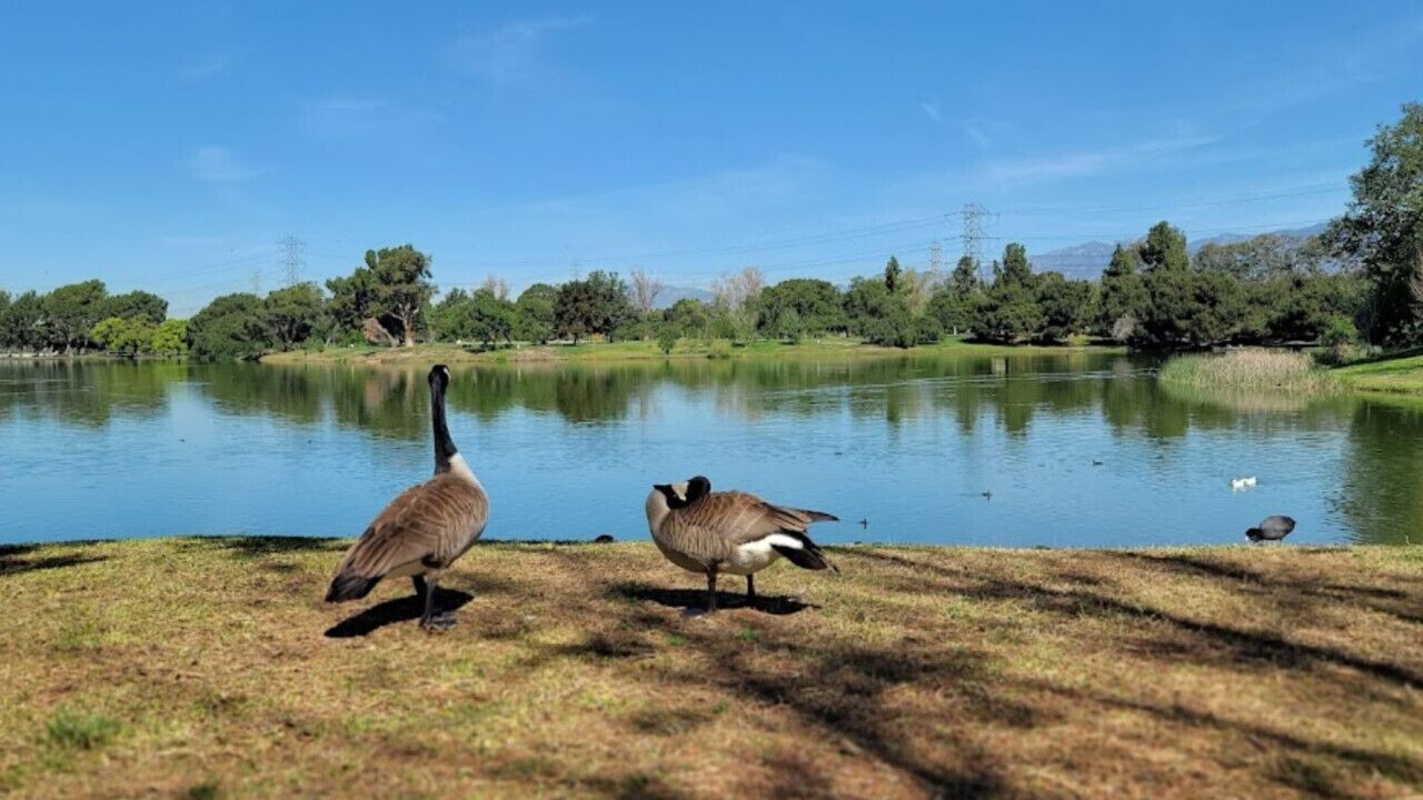 Photo of Others in Walnut Valley