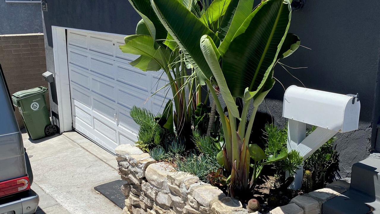 Photo of Outdoor in El Porto