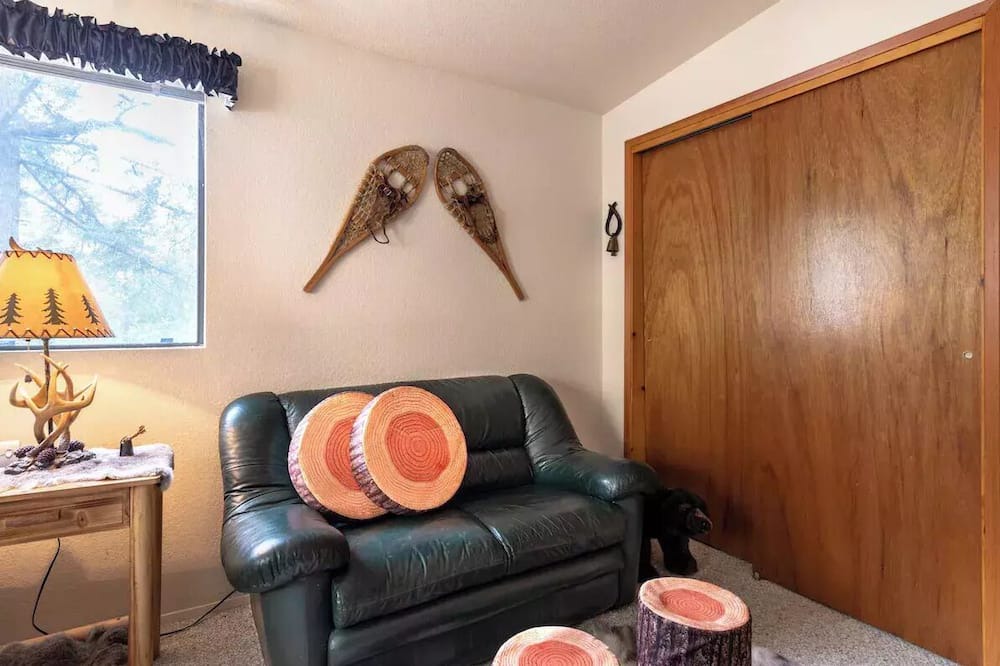Photo of Livingroom in Forest Falls