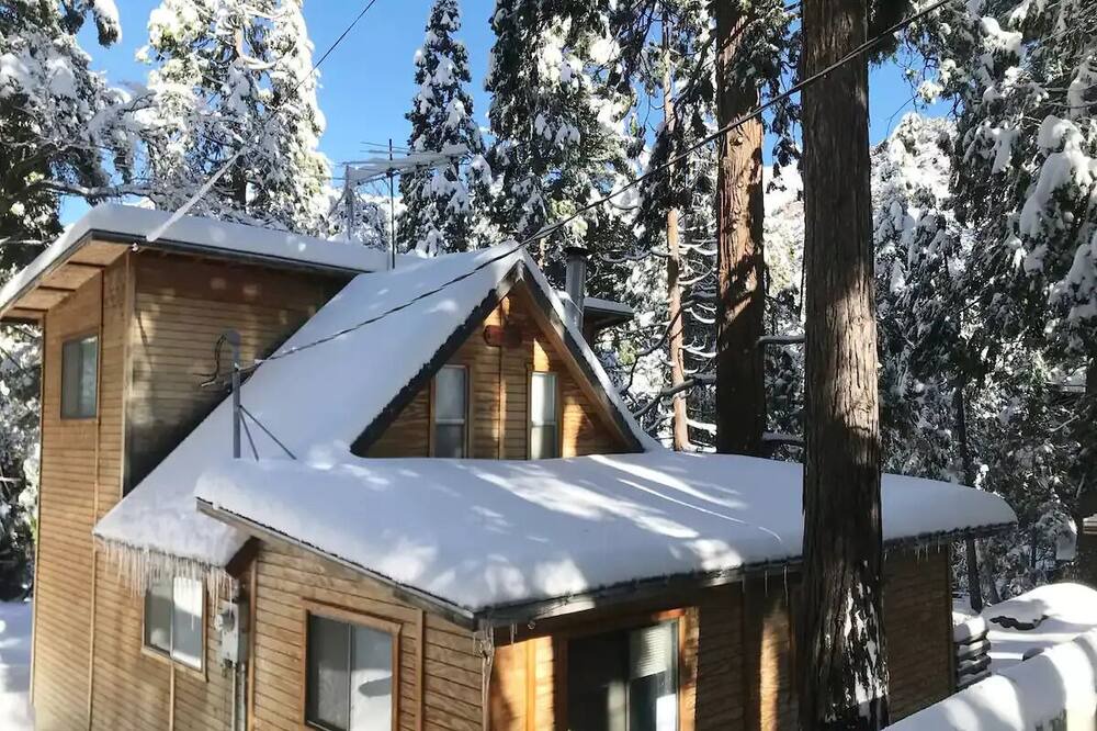 Photo of Outdoor in Forest Falls