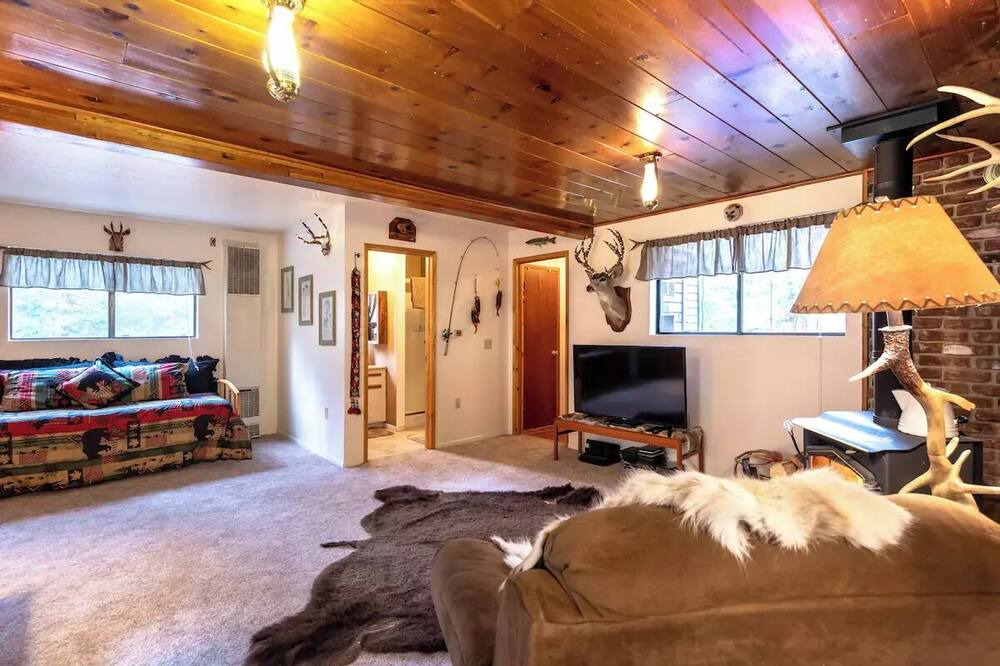 Photo of Livingroom in Forest Falls