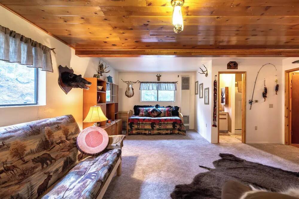 Photo of Livingroom in Forest Falls