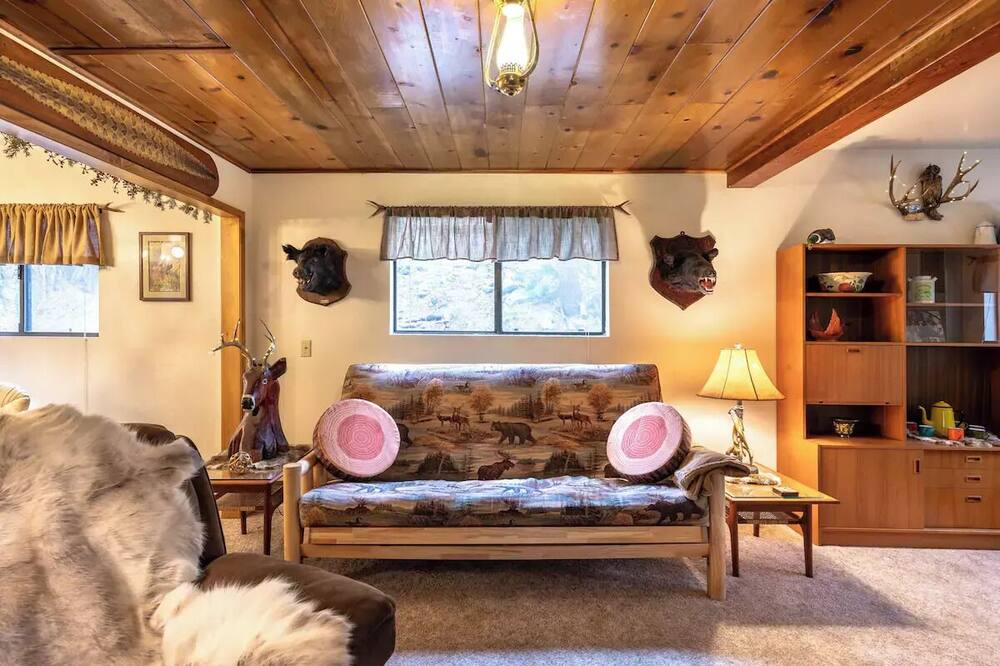 Photo of Livingroom in Forest Falls