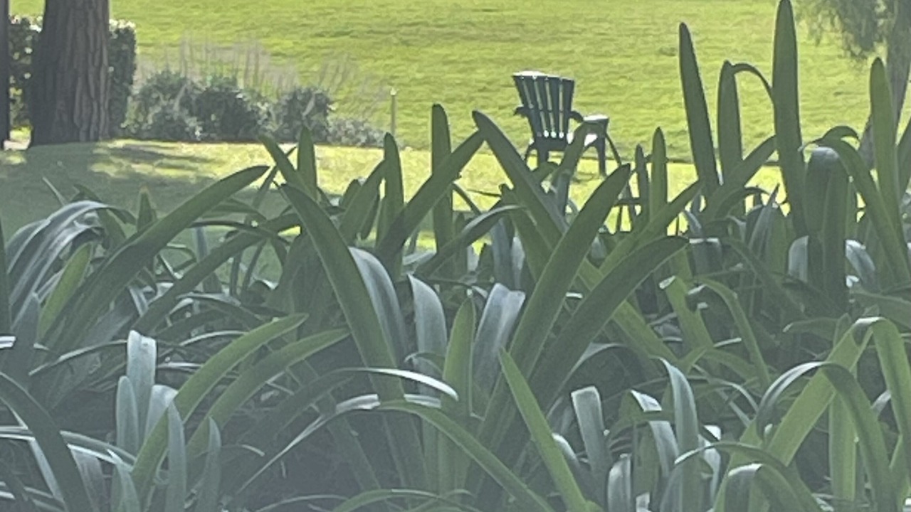 Photo of Outdoor in Monarch Beach