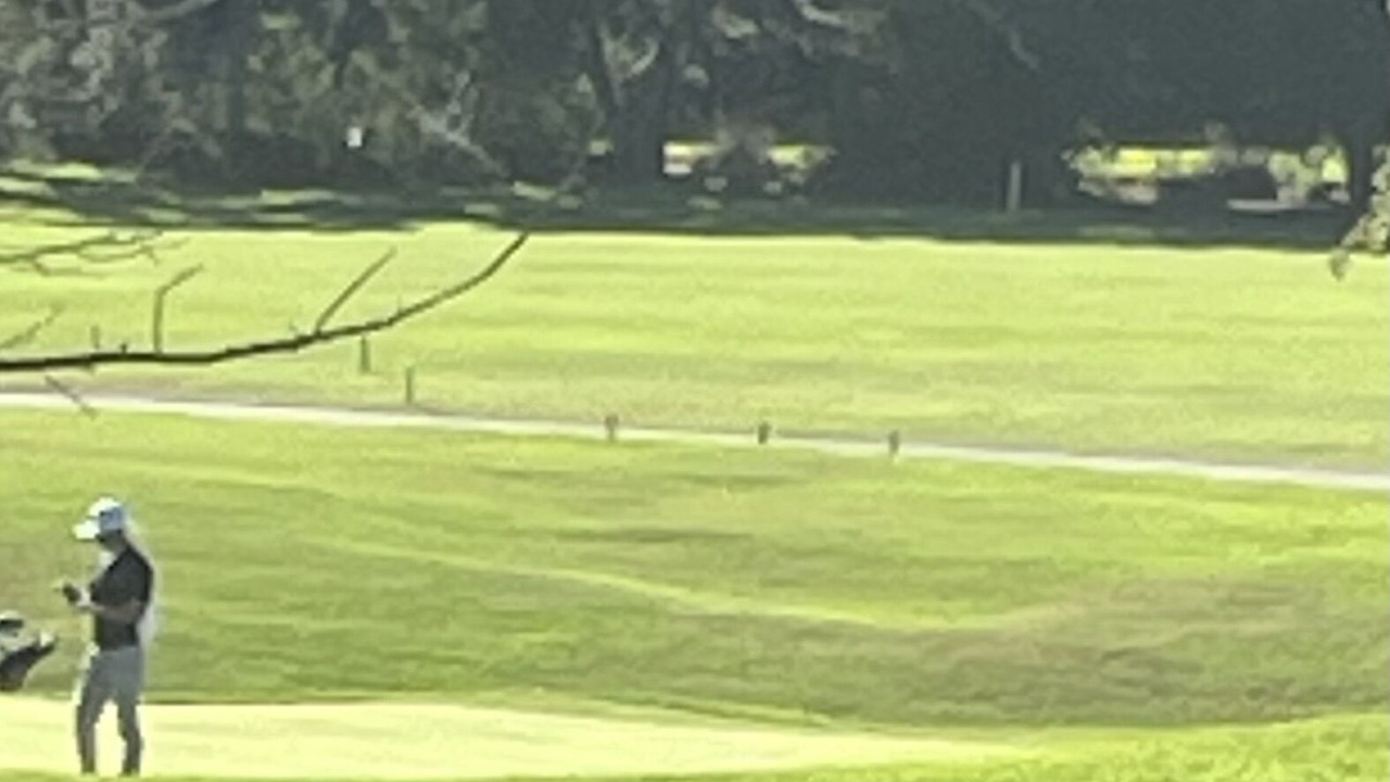 Photo of Others in Monarch Beach