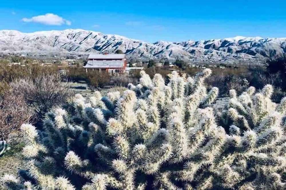 Photo of Outdoor in Morongo Valley