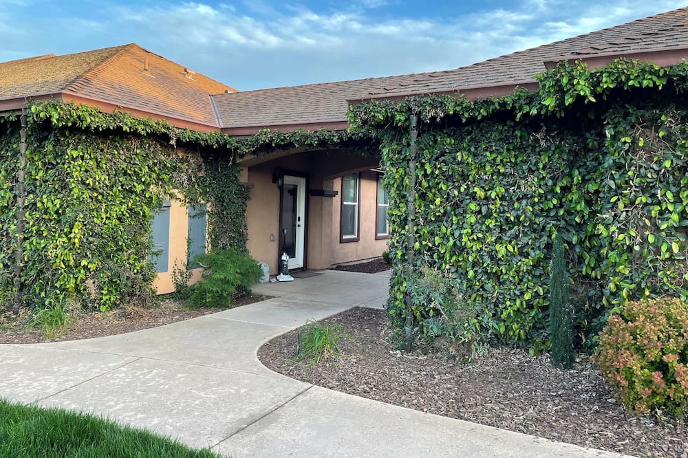 Photo of Outdoor in Peters