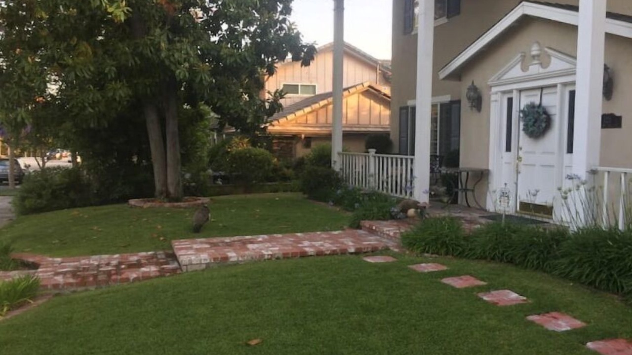 Photo of Outdoor in Bonita