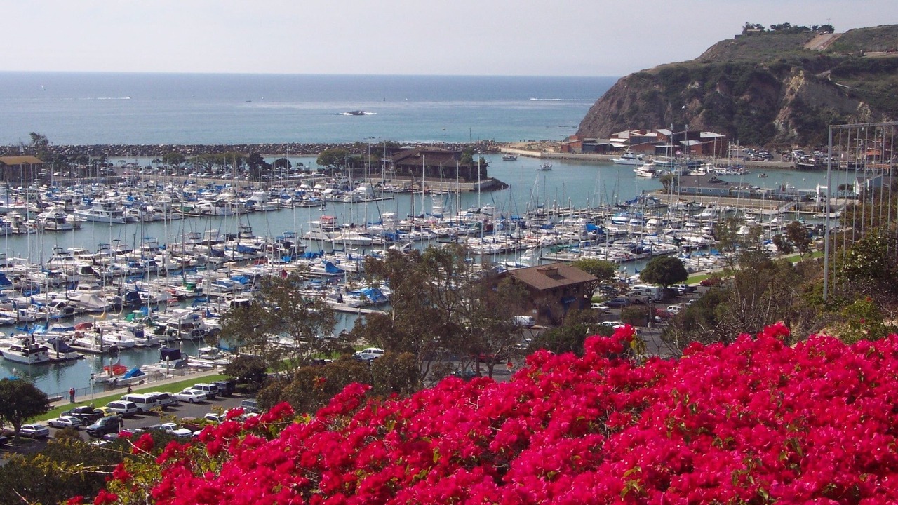 Photo of Outdoor in San Juan Capistrano
