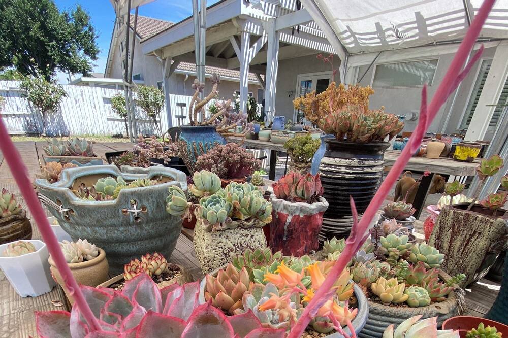 Photo of Outdoor in Chino