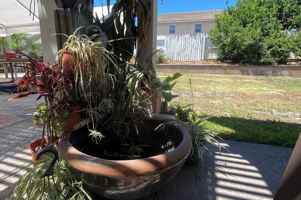 Photo of Outdoor in Chino