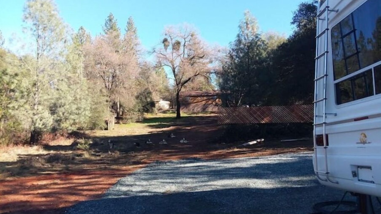 Photo of Outdoor in Kelsey
