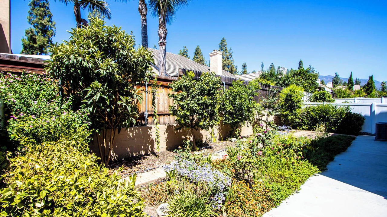 Photo of Outdoor in Upland