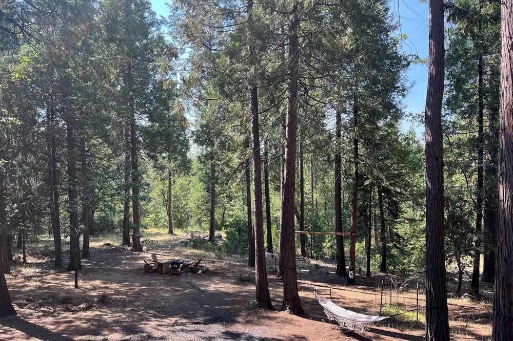 Photo of Others in Phoenix Lake-Cedar Ridge