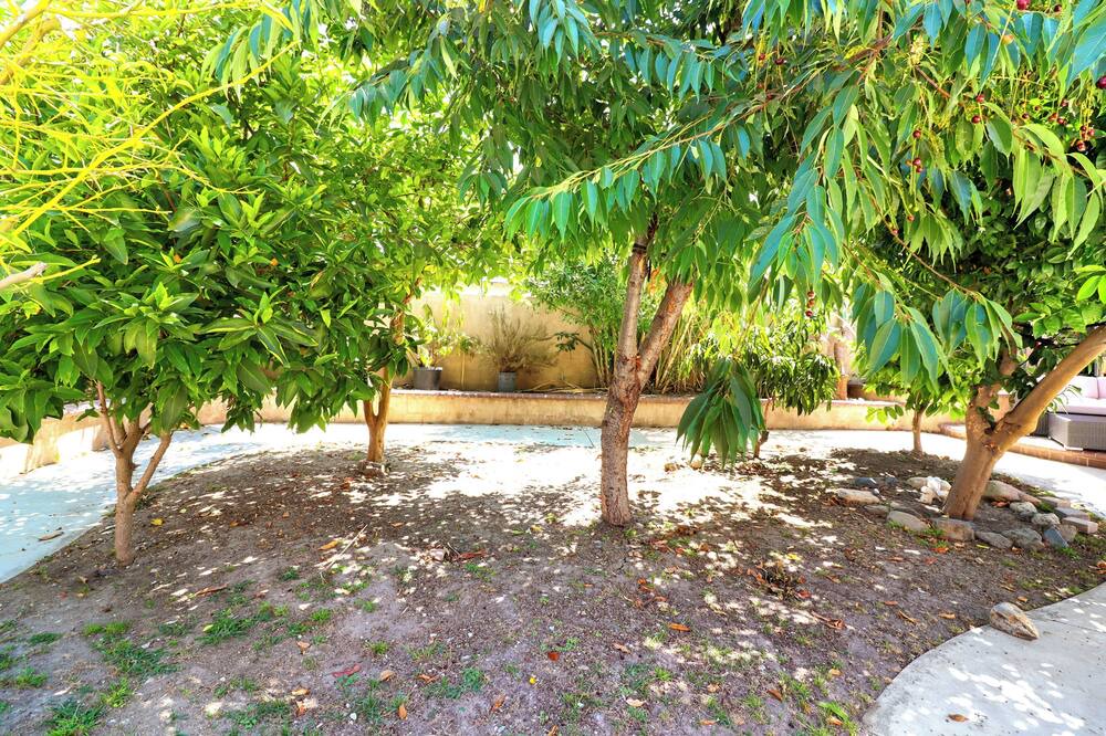 Photo of Outdoor in Anaheim Colony Historic District