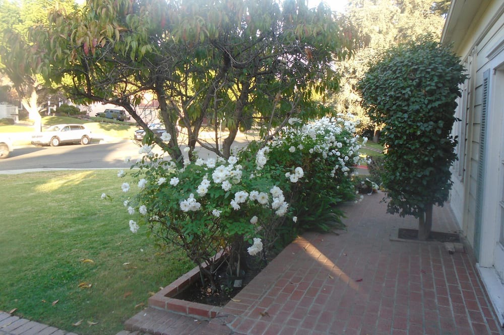 Photo of Others in Verdugo Viejo