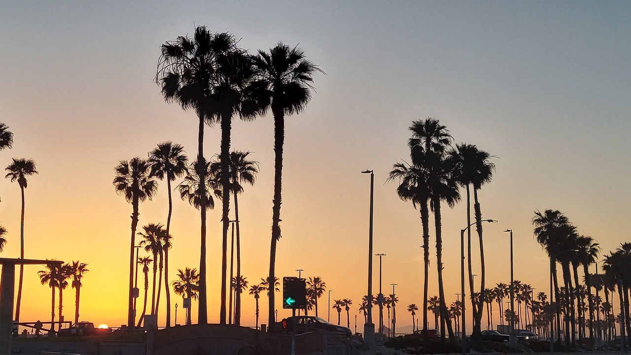 Photo of Outdoor in Westside Costa Mesa