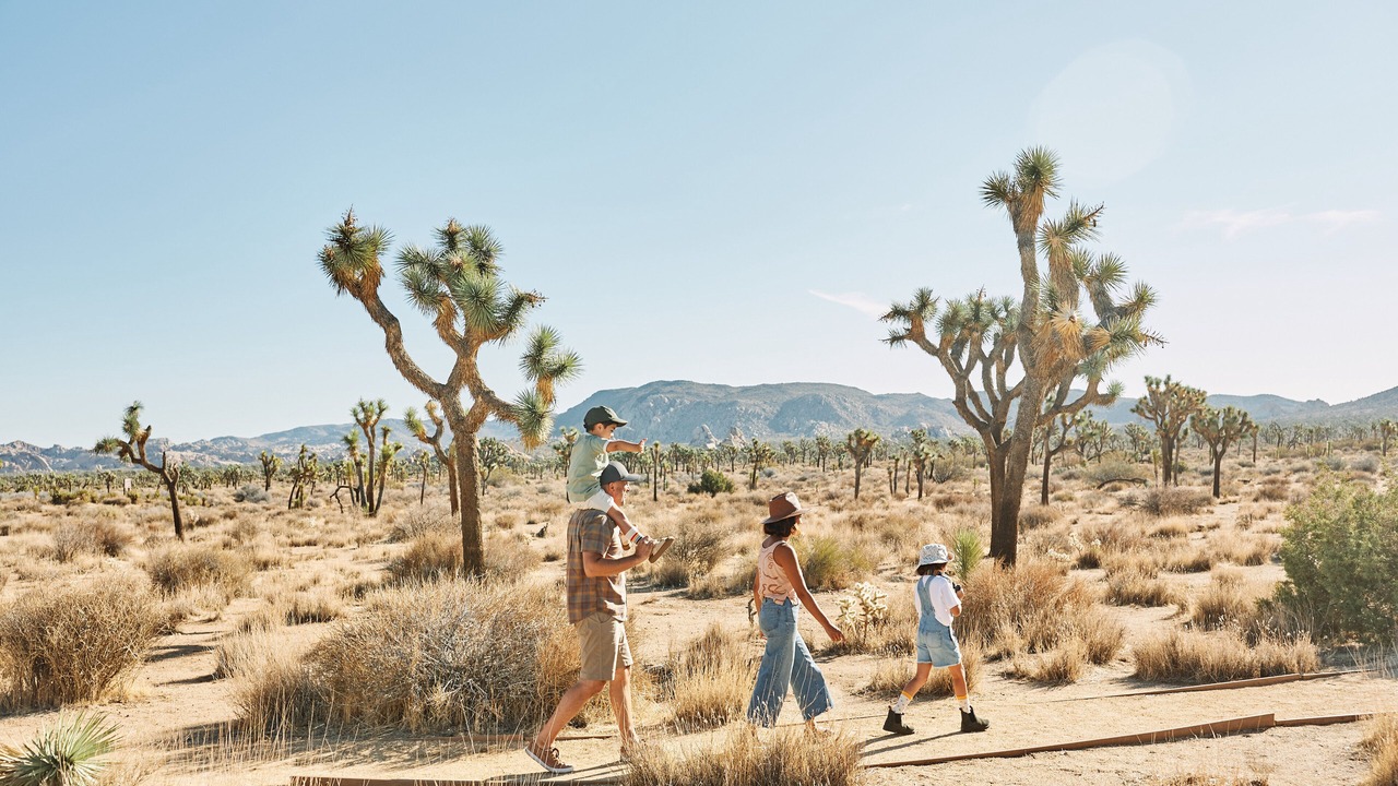 Photo of Outdoor in Joshua Tree