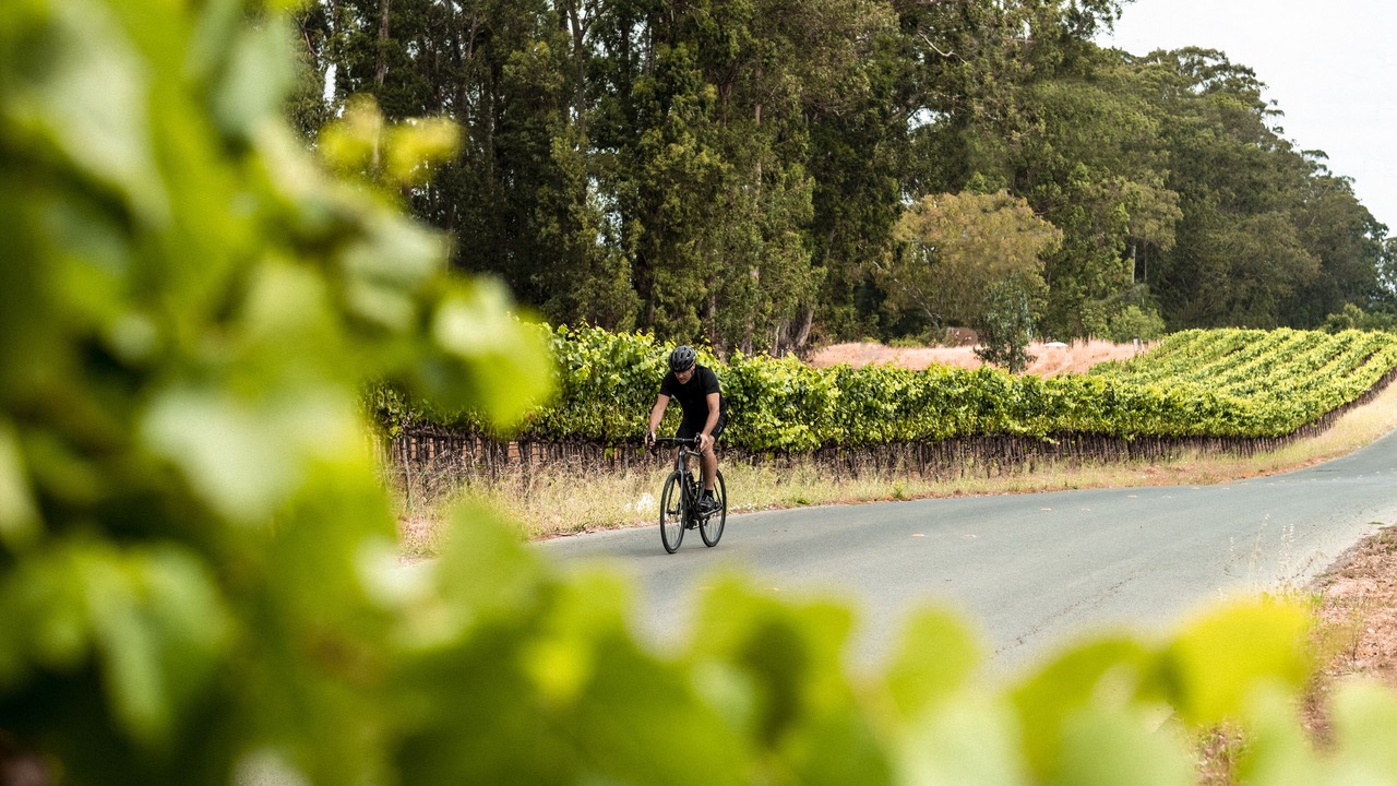 Photo of Outdoor in Napa