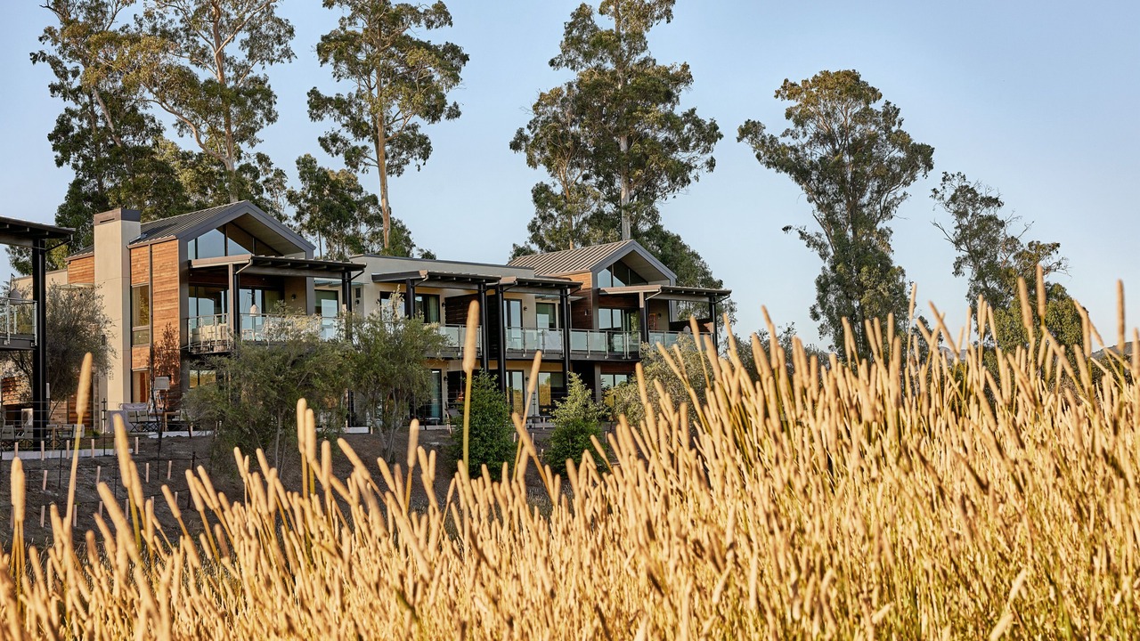 Photo of Outdoor in Napa