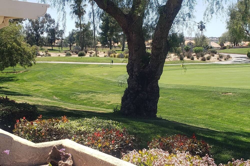 Photo of Others in Sun Lakes