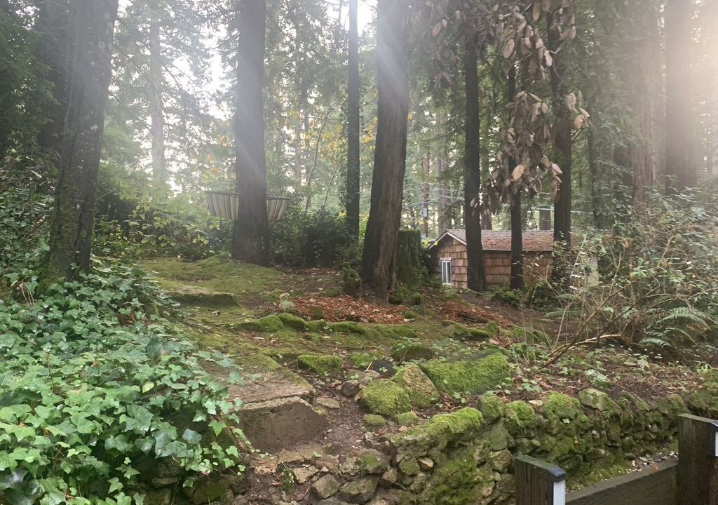 Photo of Outdoor in Redwood City