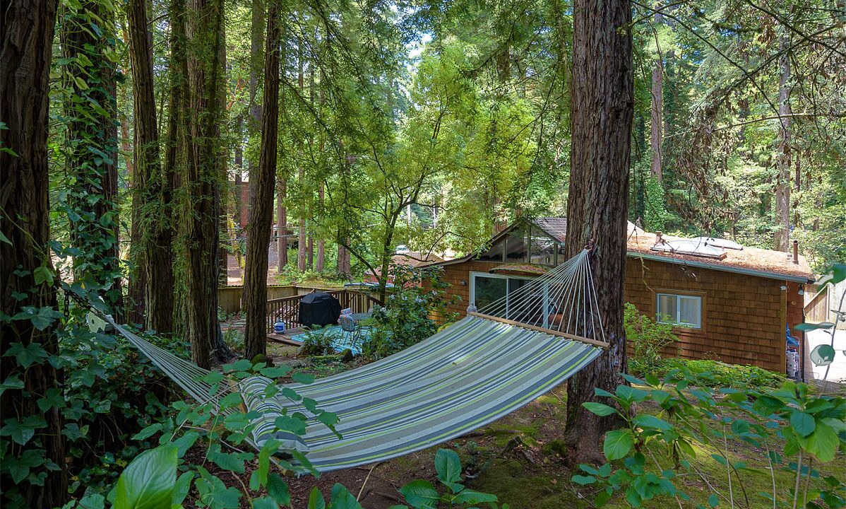 Photo of Outdoor in Redwood City