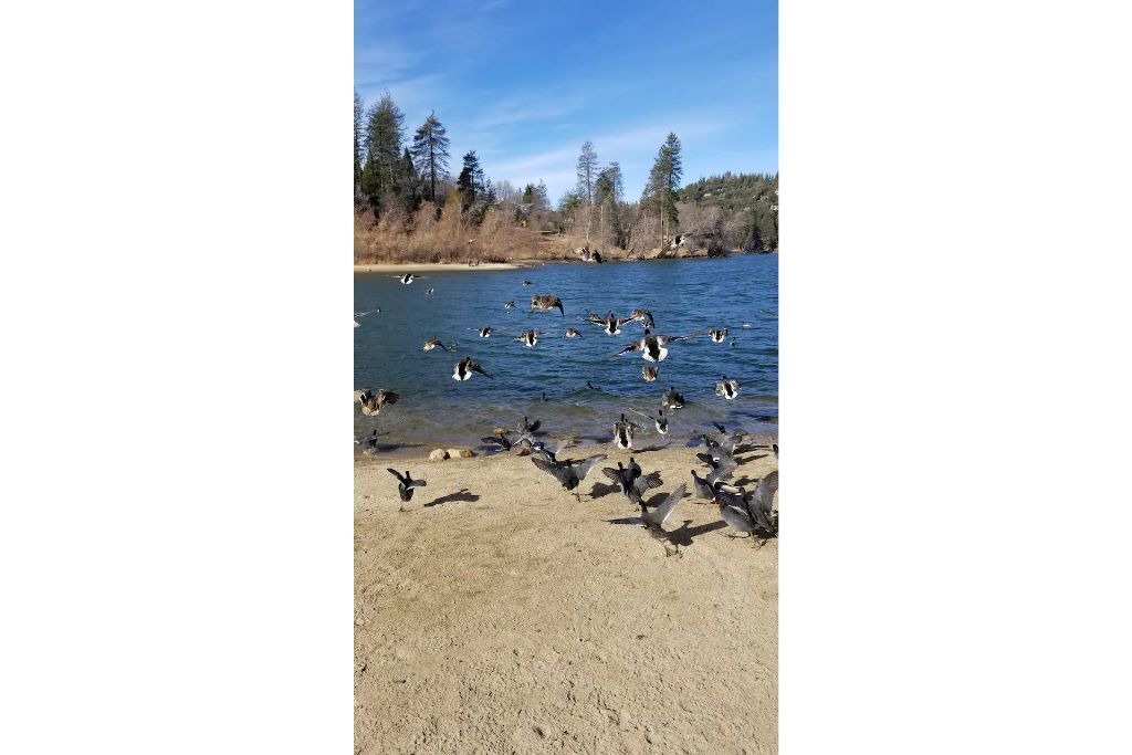 Photo of Others in Crestline
