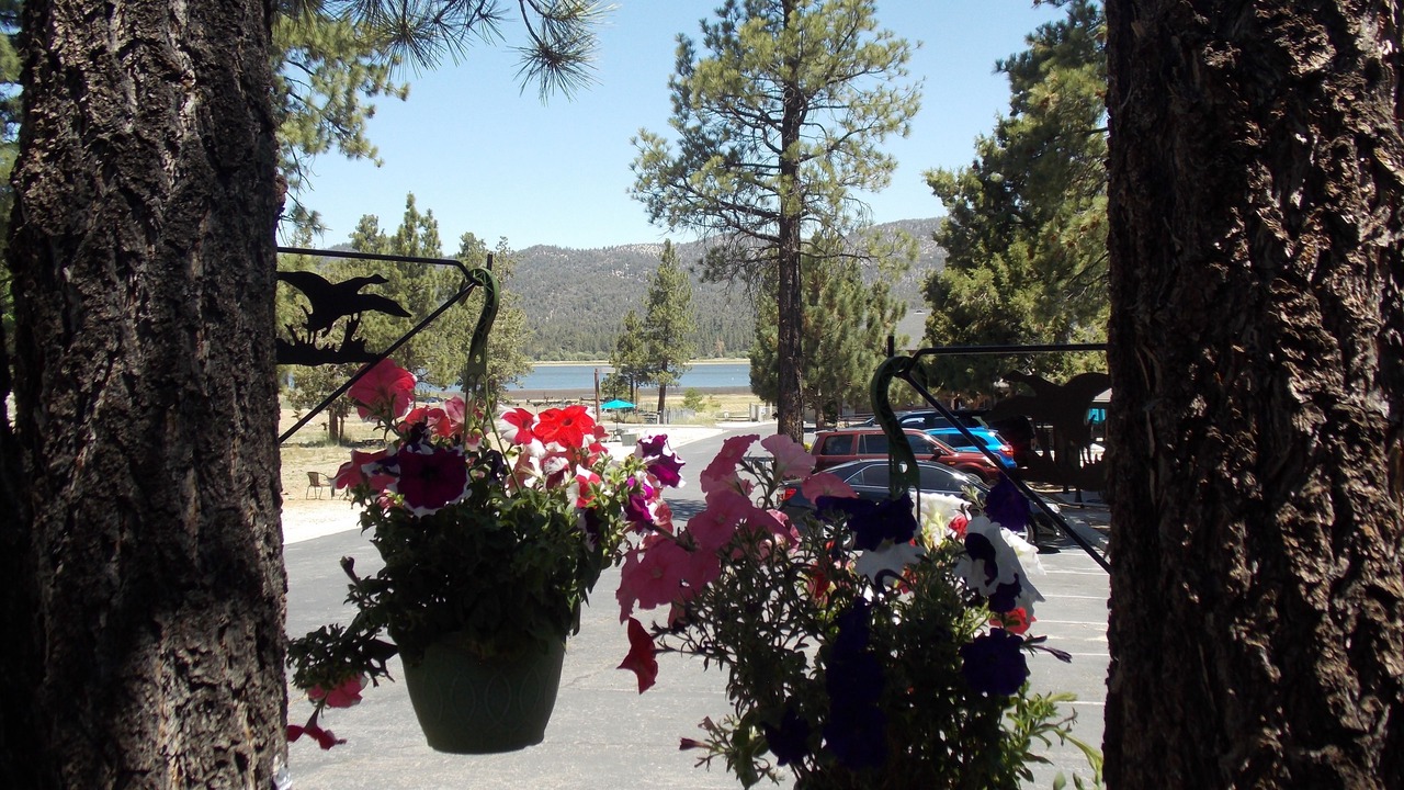 Photo of Outdoor in Big Bear Lake