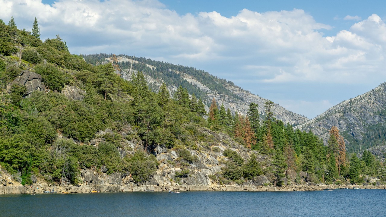 Photo of Others in Sonora