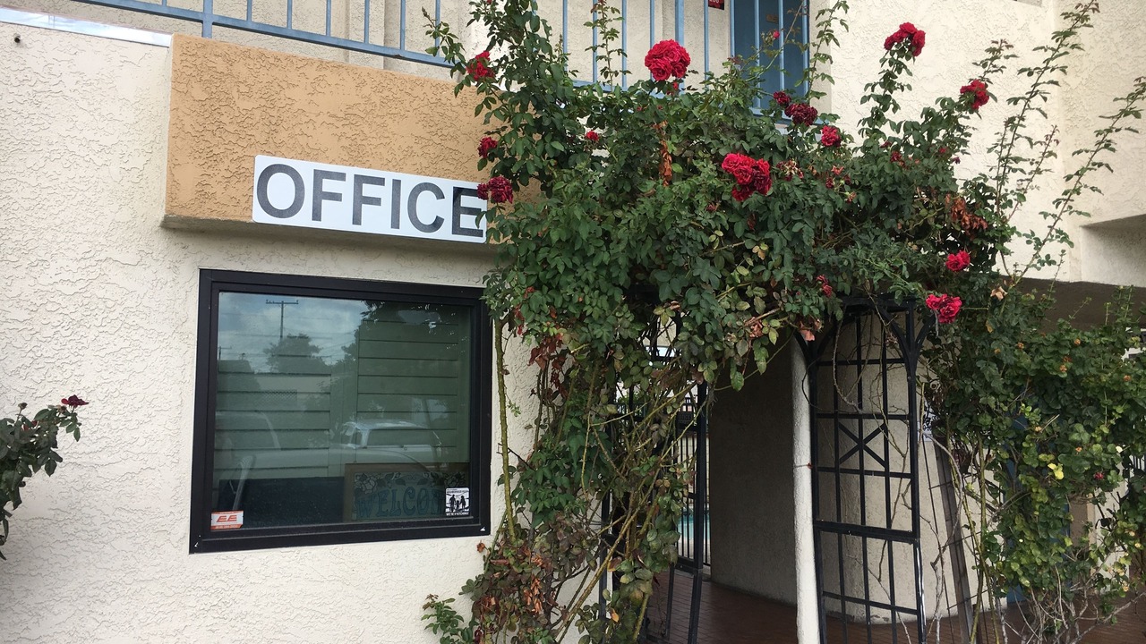 Photo of Outdoor in Bellflower