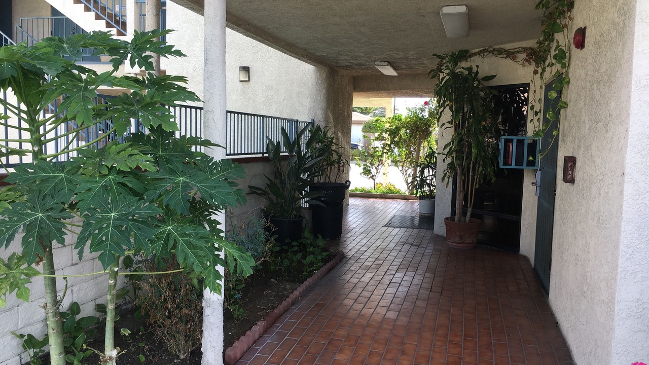 Photo of Outdoor in Bellflower