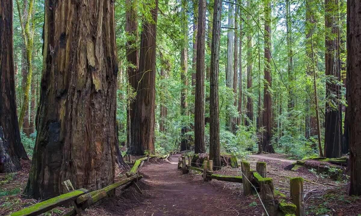 Photo of Others in Santa Rosa