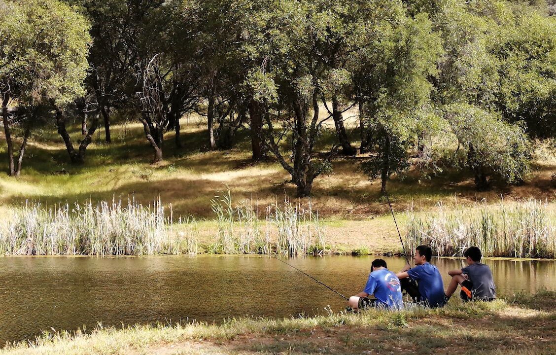 Photo of Others in El Dorado Hills