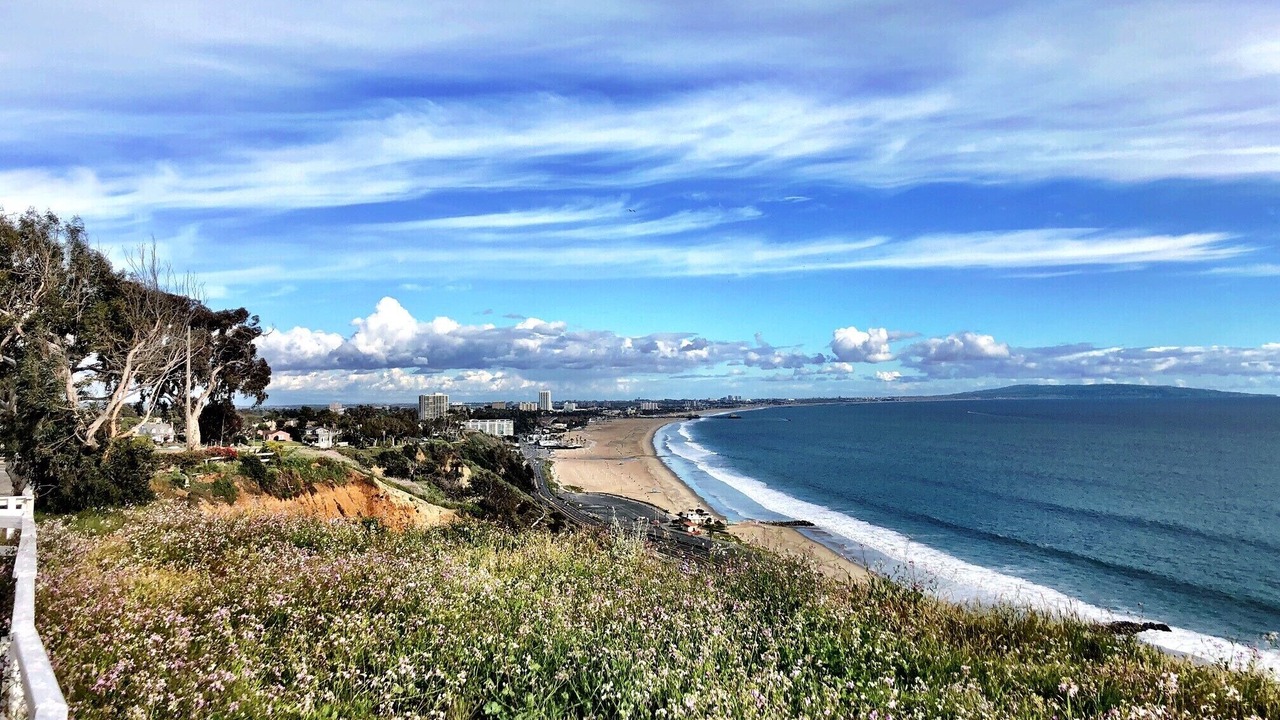 Photo of Others in Pacific Palisades