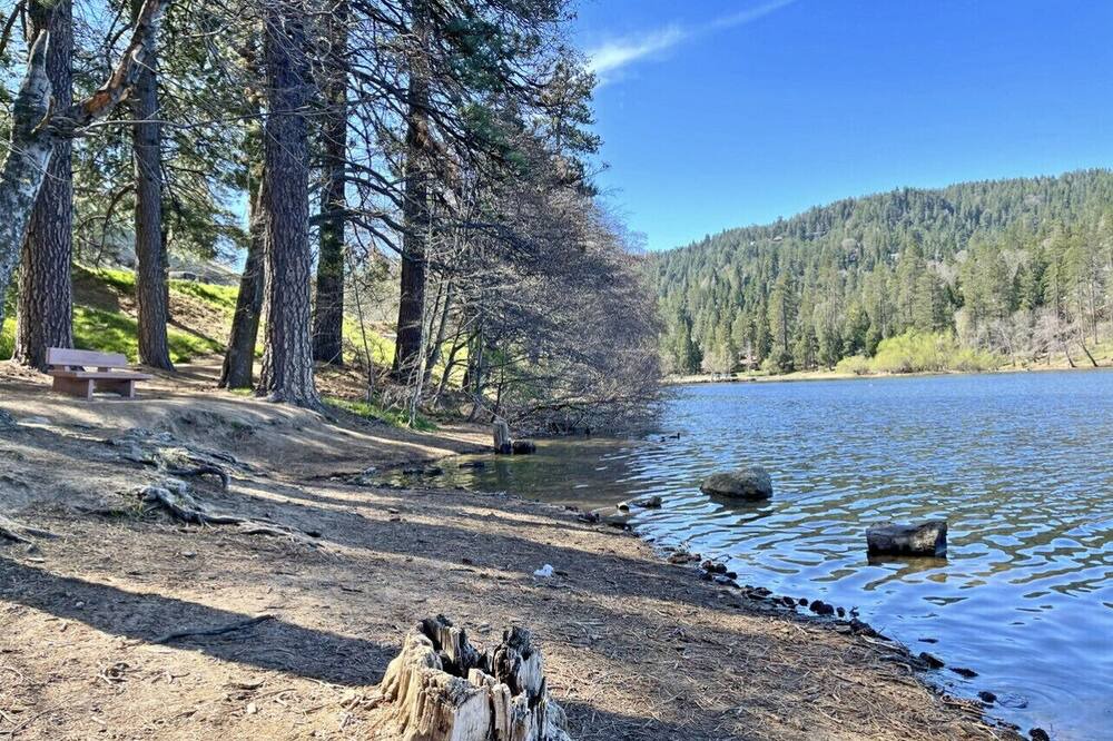 Photo of Outdoor in Crestline
