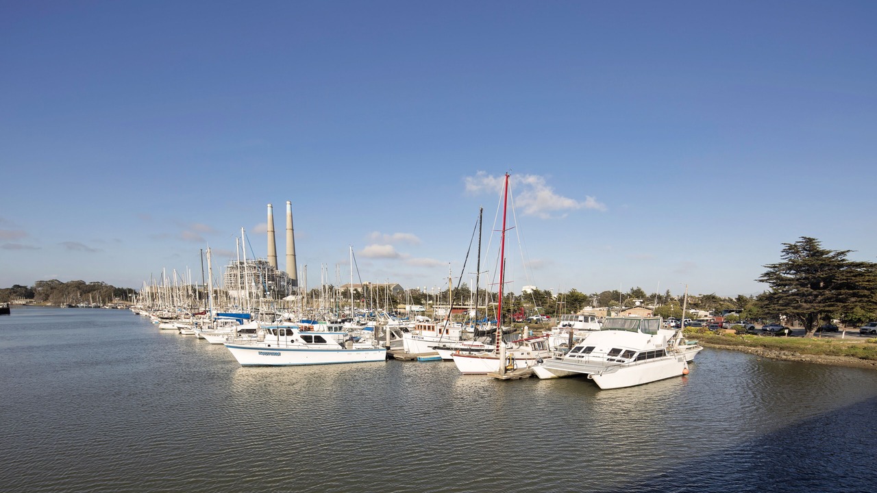 Photo of Others in Moss Landing