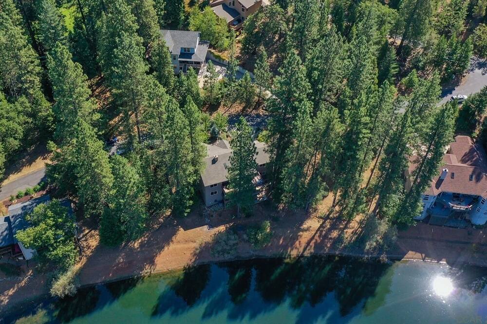 Photo of Outdoor in Forest Meadows